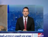 التموين: احتياطي السلع الأساسية يكفي 6 أشهر.. ولا زيادة في سعر الخبز الحر والفينو