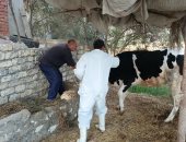 الطب البيطري بالإسماعيلية يحصن 45 ألف حيوان ضد الحمى القلاعية والوادي المتصدع