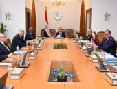 وزير الخارجية يجتمع مع مجلس إدارة الوكالة المصرية للشراكة من أجل التنمية