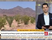 محافظ جنوب سيناء للتليفزيون المصري: مشروعات تنمية سيناء تحظي باهتمام الدولة