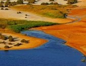 البحيرة المسحورة بالفيوم سحر الطبيعة على أرض مصر