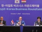 الرئيس السيسى: الشراكة مع كوريا تتجاوز مفهوم التبادل التجارى التقليدى