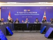 الرئيس السيسى يؤكد أهمية تفعيل دور مجلس الأعمال المصرى الكوري وعقد منتدى اقتصادى مشترك
