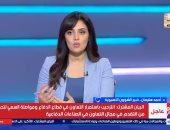 خبير شؤون أسيوية،: مصر تستهدف تعزيز الشراكات الآسيوية والتحول إلى قاعدة للإنتاج والتصدير