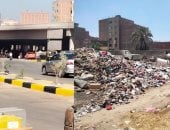إلغاء نقاط تجمع القمامة وزراعتها فى عدد من أحياء الجيزة لتحسين المظهر الحضارى