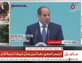 باحث سياسي: الشراكة المصرية الكورية تدعم نقل التكنولوجيا وتوطين الصناعة 