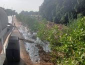 زراعة 4550 شجرة بمدينة أبو النمرس ضمن جهود التوسع فى المساحات الخضراء