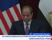 أستاذ إدارة أعمال: زيارة السيسى لماليزيا تفتح آفاقًا لتوطين الصناعات وجذب الاستثمارات الآسيوية