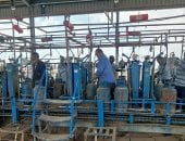 تموين الأقصر تنفذ حملات رقابية على مستودعات البوتاجاز ومحطات الوقود