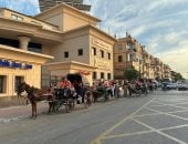 زفة وأعلام في قلب الحنطور.. طلائع مكتبة مصر العامة يحتفلون بذكرى نصر أكتوبر بالأقصر.. صور وفيديو