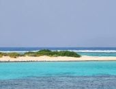 جزيرة شواريت.. مملكة الشعاب المرجانية والمياه الفيروزية بالبحر الأحمر