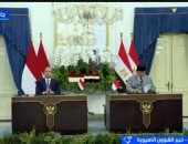 خبير شئون آسيوية: جولة الرئيس السيسي تعزز شراكات مصر الاقتصادية