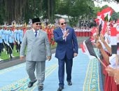 استقبال الرئيس السيسى ومباحثاته مع نظيره الإندونيسى بالقصر الرئاسى ميرديكا.. صور
