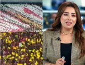 كواليس الساعات الأخيرة قبل القمة 133 بين الأهلى والزمالك.. فيديو