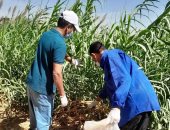 انطلاق أعمال الحملة القومية لمكافحة القوارض بسوهاج