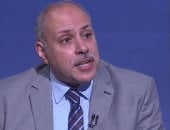 حسن سلامة: الجولة الآسيوية للرئيس السيسى تعكس مكانة مصر الدولية