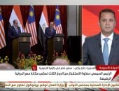 سفير مصر لدى كوريا الجنوبية: زيارة الرئيس السيسي إلى سول محطة مفصلية 
