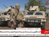 خبير علاقات دولية: البعثة الأوروبية لن تحرر الجنوب اللبناني