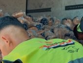 اللجنة المصرية بالتعاون مع المطبخ العالمى تواصل توزيع الخبز على نازحي غزة