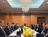 نائب رئيس الوزراء ووزير الخارجية التايلندي يعقدان غداء عمل على شرف وزير الخارجية