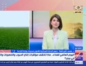 وزارة الزراعة: نستهدف زراعة 3.8 مليون فدان قمح خلال موسم 2025-2026