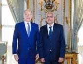 السفير المصرى لدى فرنسا يقدم أوراق اعتماده إلى أمير موناكو