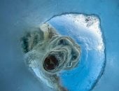 صورة دب قطبى تفوز بجائزة OurNature للتصوير البيئى لعام 2026