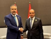 وزيرا خارجية مصر وتركيا يبحثان تطورات الأوضاع في اليمن ويؤكدان دعم المؤسسات الوطنية