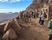 610 سائحين يزورون سانت كاترين وسط تزايد الحركة السياحية