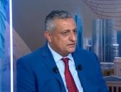 مستشار رئيس مجلس القيادة اليمني: ندعو لدور مصرى أكبر فى قضية بلادنا