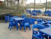 مصرع شاب أثناء سيره بأحد شوارع البدرشين إثر سقوط نخلة