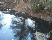 صحافة المواطن: بالصور.. ترعة ممتلئة بالفئران والقمامة بقرية بالدقهلية