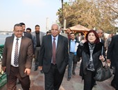 محافظ القاهرة يوافق على تخصيص قطعة أرض بحى التبين لوزارة الكهرباء