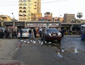 بالصور.. طائر "أبو قرادن" يستوطن "سوق الزقازيق" بعد انتشار القمامة
