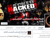 "ذئاب عبد الناصر" يستولون على صفحة للإخوان ويهددون بنشر نشاطهم الخفى