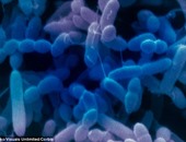 التعرض للمبيدات الحشرية المكافحة للآفات قد يغير بكتيريا الفم