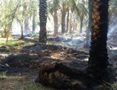 الحماية المدنية تسيطر على حريق بحقول زراعية فى منطقة سنور ببنى سويف