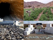 بالفيديو.. الداخلية تبيد 10 أفدنة مخدرات وتضبط 10 أطنان بانجو بجنوب سيناء