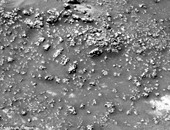اكتشاف أشكال غريبة تشبه "القرنبيط" على سطح المريخ