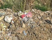 صحافة المواطن: بالصور.. قرية بنى حلة فى بنى سويف تعانى انتشار القمامة
