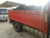 بالصور.. ضبط سيارتين تحملان 26 رأس ماشية مهربة من ليبيا بمطروح