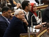 رئيس البرلمان: إجراءات إسقاط العضوية عن "عكاشة" سليمة
