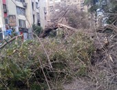 الحماية المدنية تزيل حطام شجرة سقطت فى فيصل