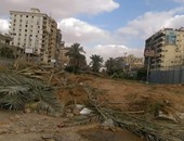 نظافة القاهرة: ليس هناك مشكلة فى إزالة بعض الأشجار من أجل مشروع قومى