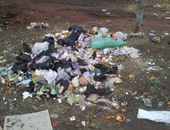 جمال المتولى يكتب: لماذا لا نستفيد من تجارب الآخرين فى حل مشكلة القمامة؟