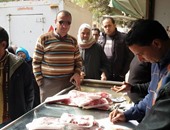 تموين الإسكندرية تضبط كمية من اللحوم غير الصالحة للاستهلاك الآدمى