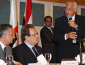 علي الدين هلال: "30 يونيو" انتفاضة للمصريين وثورة شعبية ضد الإخوان