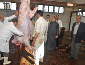 وصول شحنة من اللحوم إلى الأقصر لذبحها فى المجازر الرسمية