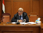 رئيس تشريعية الشورى: نحترم ما أصدرته "الدستورية" وسنعمل بمقتضاه