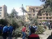 توقف حركة المرور بالدقى بسبب سقوط شجرة بشارع البطل أحمد عبد العزيز